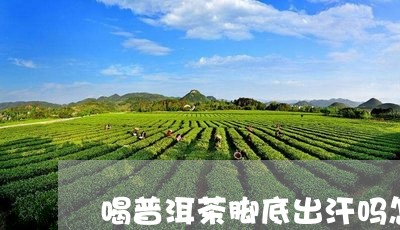 喝普洱茶脚底出汗吗怎么回事/2023052932505