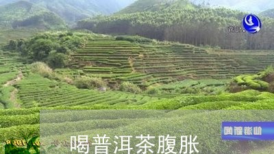 喝普洱茶腹胀/2023042833035