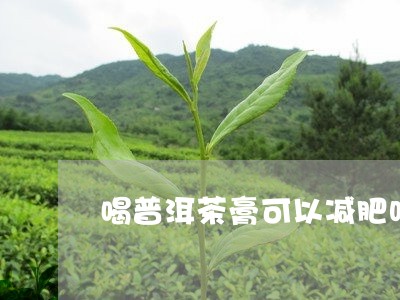 喝普洱茶膏可以减肥吗/2023072461584