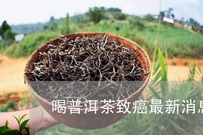 喝普洱茶致癌最新消息/2023092848402