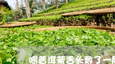 喝普洱茶舌头敷了一层/2023092759816