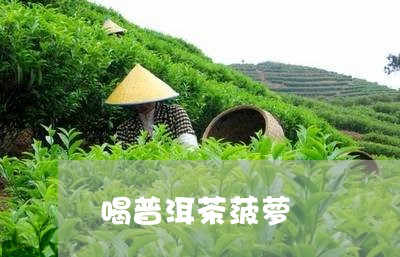 喝普洱茶菠萝/2023042764253