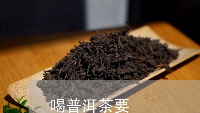 喝普洱茶要/2023090654937