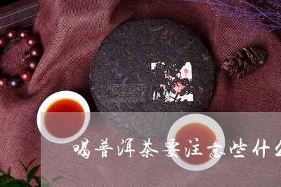 喝普洱茶要注意些什么/2023093059794