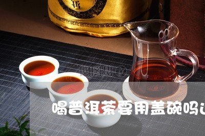 喝普洱茶要用盖碗吗还是杯子/2023110549473