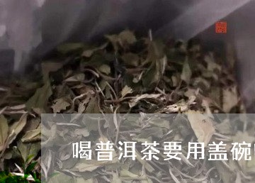 喝普洱茶要用盖碗吗还是杯子/2023121541716