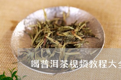 喝普洱茶视频教程大全/2023120727450