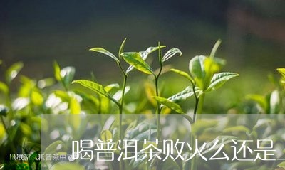 喝普洱茶败火么还是上火/2023110382927