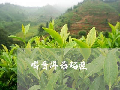 喝普洱茶起痘/2023042941805