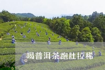 喝普洱茶跑肚拉稀/2023082621492