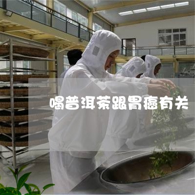 喝普洱茶跟胃癌有关/2023120504048