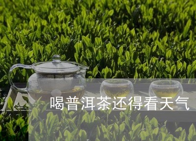 喝普洱茶还得看天气/2023120592925