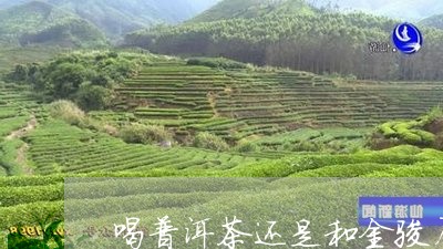 喝普洱茶还是和金骏眉/2023073151504