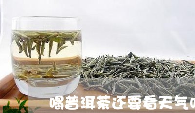 喝普洱茶还要看天气吗/2023092854061