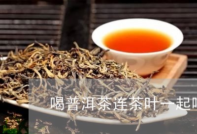 喝普洱茶连茶叶一起喝下去/2023051393037