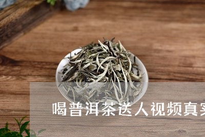 喝普洱茶送人视频真实/2023110527372