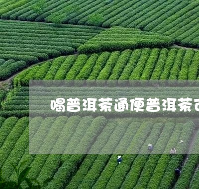 喝普洱茶通便普洱茶可以治疗便秘吗/2023060343827