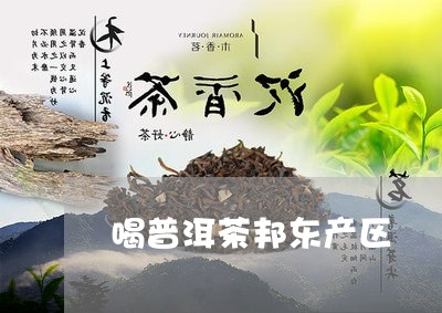 喝普洱茶邦东产区/2023110479271