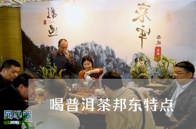 喝普洱茶邦东特点/2023082820473