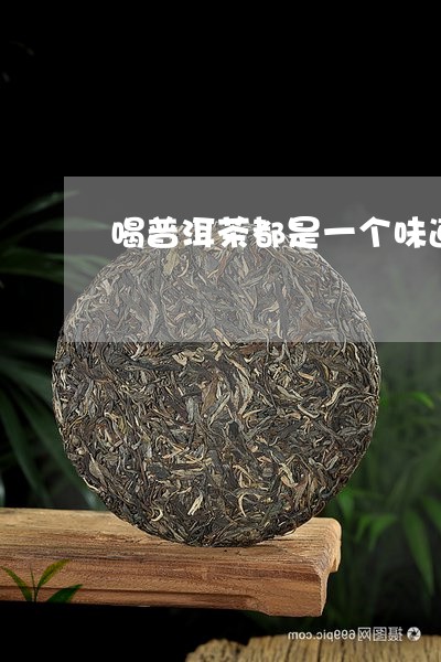 喝普洱茶都是一个味道/2023092612706