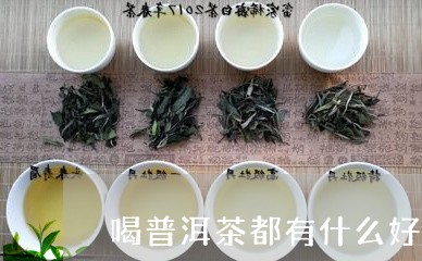 喝普洱茶都有什么好处和坏处/2023052814059