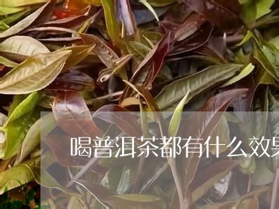 喝普洱茶都有什么效果/2023080137371