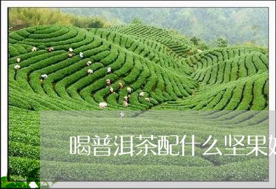 喝普洱茶配什么坚果好/2023092832703