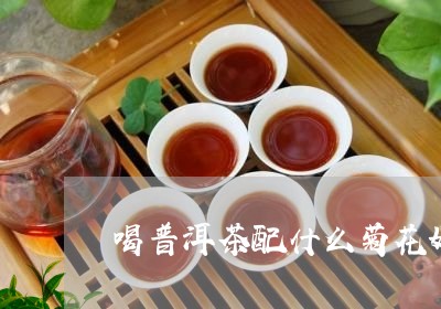 喝普洱茶配什么菊花好/2023073193947