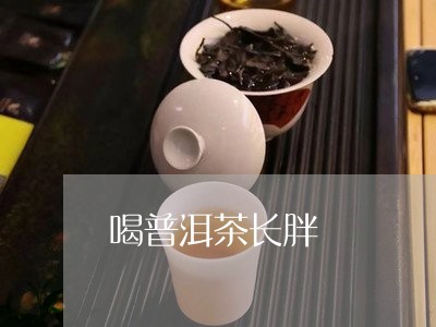 喝普洱茶长胖/2023042998030