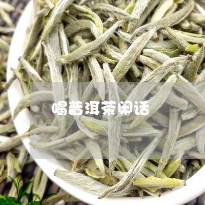 喝普洱茶闲话/2023042874728