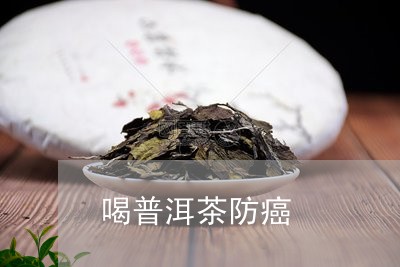 喝普洱茶防癌/2023042669343