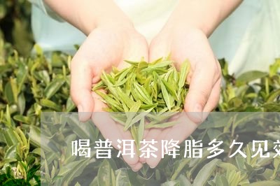 喝普洱茶降脂多久见效/2023100675928