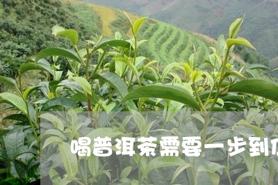 喝普洱茶需要一步到位/2023092668482