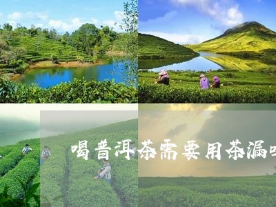 喝普洱茶需要用茶漏吗/2023092606170