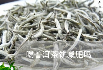 喝普洱茶饼减肥吗/2023120475277