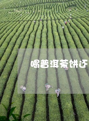 喝普洱茶饼还用洗茶吗/2023073182695