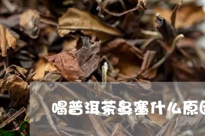 喝普洱茶鼻塞什么原因/2023062319381