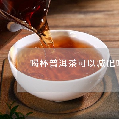 喝杯普洱茶可以减肥吗/2023120677491