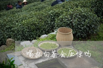 喝杯白茶会压惊吗/2023061673826