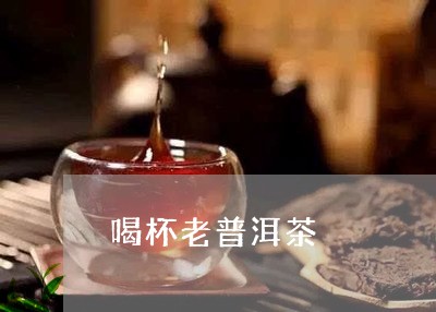 喝杯老普洱茶/2023091328361