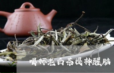 喝杯老白茶提神醒脑/2023082604158