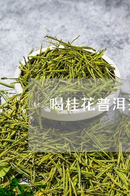 喝桂花普洱茶的好处与功效/2023112593724