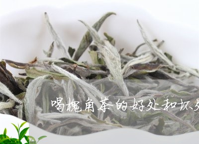 喝槐角茶的好处和坏处/2023071554047