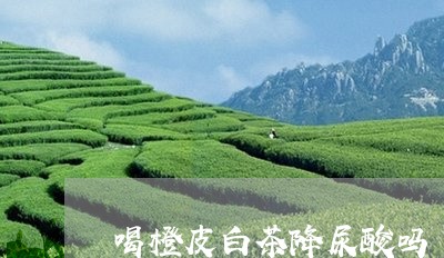 喝橙皮白茶降尿酸吗/2023071612715