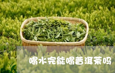 喝水完能喝普洱茶吗/2023091537172