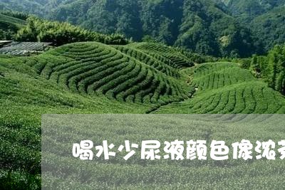 喝水少尿液颜色像浓茶/2023071494846