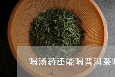 喝汤药还能喝普洱茶吗/2023092972605