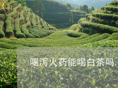 喝泻火药能喝白茶吗/2023071639494