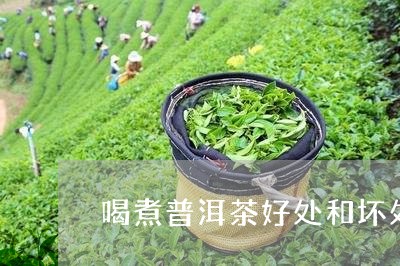 喝煮普洱茶好处和坏处/2023073025049