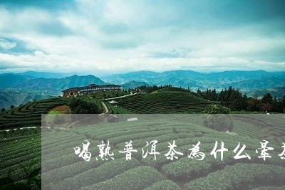 喝熟普洱茶为什么晕茶/2023062381503